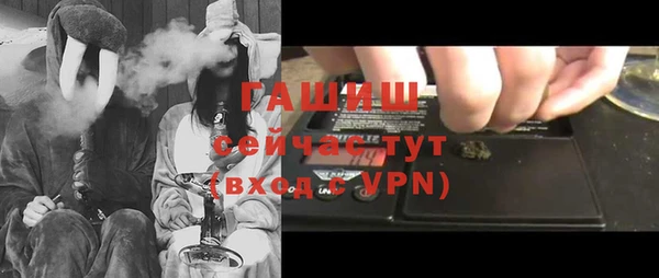 гидра Медвежьегорск