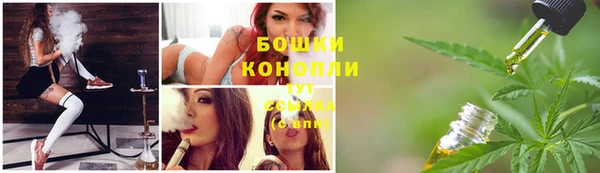 стафф Мегион