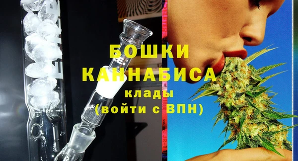 гидра Медвежьегорск
