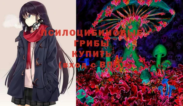 apvp Михайловск